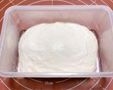 【冷蔵発酵】最強力粉入りリュスティック作り方8写真