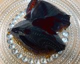 簡単 カフェの味 コーヒーゼリー作り方4写真