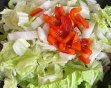 干豆腐と白菜炒め作り方7写真