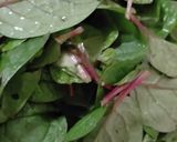 つるむらさきと半白きゅうりの肉炒め作り方6写真