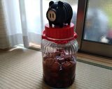 今年こそ（も） 『梅干し』 を漬ける!!作り方16写真