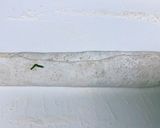 台湾葱餅　作り方3写真