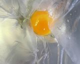 #大人の#クッキー#ブラックペッパー入り作り方2写真