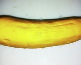 レンジだけ！ズッキーニのチーズマリネ風作り方1写真