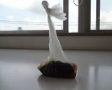 パッククッキングで作るなすの煮びたし作り方2写真