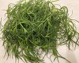 鯨ベーコンと おかひじきのサラダ作り方1写真