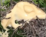 おかひじきと塩昆布の黒ゴマヨ和え作り方2写真