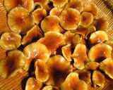 居酒屋風なめこおろし作り方4写真