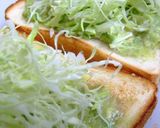 アボカドⅡ作り方40写真