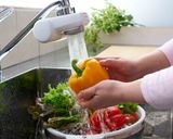 鶏手羽大根　簡単　材料２つ　プロの味作り方7写真