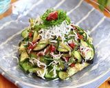 なす&きゅうり&大葉の梅肉しらす和え作り方5写真