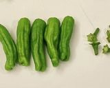 ごはんが進む☆簡単ししとう炒め作り方1写真
