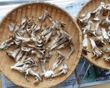 干し舞茸餃子作り方1写真