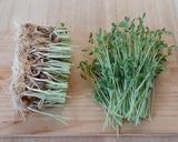 【野菜ソムリエ】豆苗と豚肉のポン酢炒め作り方1写真