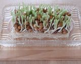 【野菜ソムリエ】豆苗と豚肉のポン酢炒め作り方2写真