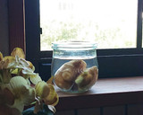 私のとっておき★生姜の保存作り方2写真