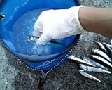 魚が釣れたら、これだけはして持って帰ろう作り方1写真