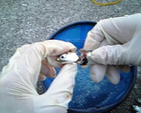 魚が釣れたら、これだけはして持って帰ろう作り方2写真