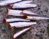 魚が釣れたら、これだけはして持って帰ろう作り方4写真