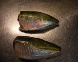魚が釣れたら、これだけはして持って帰ろう作り方6写真