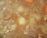 カレーリメイク★カレーラーメン♪作り方2写真