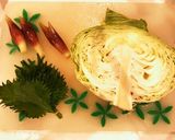 茗荷と大葉のさっぱりキャベツ作り方1写真