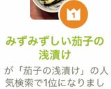 みずみずしい茄子の浅漬け作り方11写真