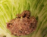 小籠包風味~レタス王(ワン)マンドゥ作り方4写真