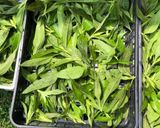 キクイモ茶【一年中楽しめるキクイモ】作り方3写真