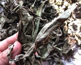 キクイモ茶【一年中楽しめるキクイモ】作り方4写真