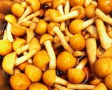 簡単なめ茸作り方2写真