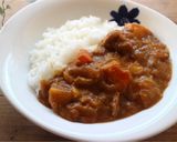 m炊飯器DE具だくさんカレー作り方5写真