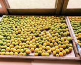 減塩梅干し(塩分8%)作り方1写真