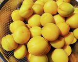 減塩梅干し(塩分8%)作り方3写真