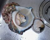 夜光貝の捌き方と食べ方作り方2写真