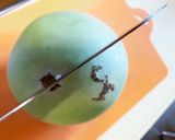 骨つきトリと夕顔の実の煮物作り方23写真