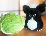 キャベツ焼き作り方1写真