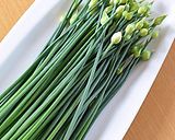 花ニラの麺つゆ浸し♪作り方1写真
