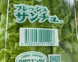 #安価時短簡単☆牛しゃぶ肉のサンチュ巻き作り方1写真