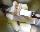 冬瓜とつくねの煮物カレー粉味変　発酵玉葱作り方1写真