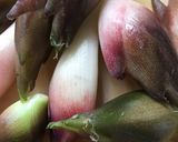 みょうがの酢漬け作り方1写真
