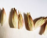 夏野菜の大量消費に!夏野菜の天ぷら♫作り方1写真