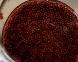 セイヨウカラシナで手づくりマスタード作り方4写真