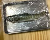 岩魚ときのこのアクアパッツァ作り方3写真
