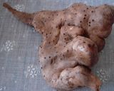長いもだけ♪作り方9写真