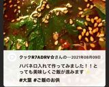 大葉のコチュジャン漬け作り方9写真