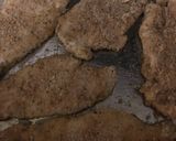オーブンで作るチキンパルメジャーノ作り方2写真