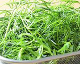 おかひじきと夏の野菜のグリーンサラダ♪作り方1写真