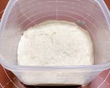 【冷蔵発酵】フルーツの牛乳リュスティック作り方9写真