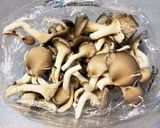 旨み濃縮 簡単 平茸のノンフライヤー焼き作り方1写真